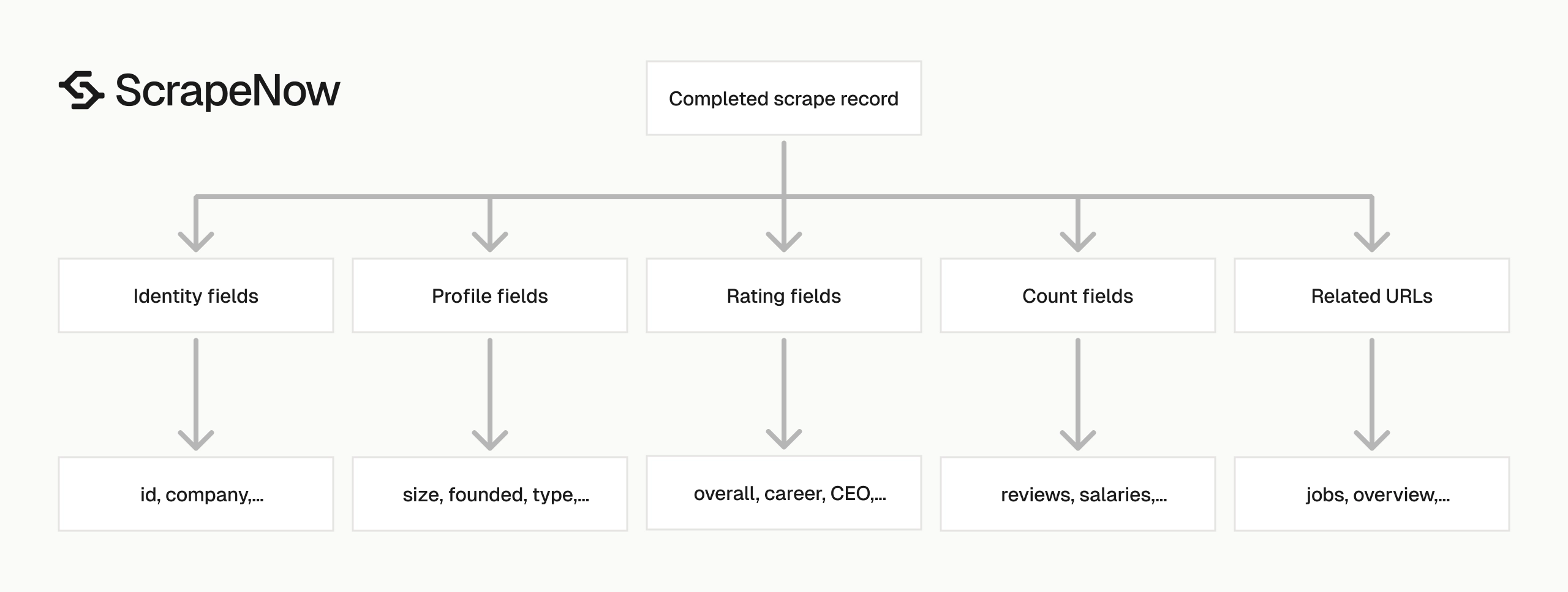 Glassdoor Companies Scraper output schema