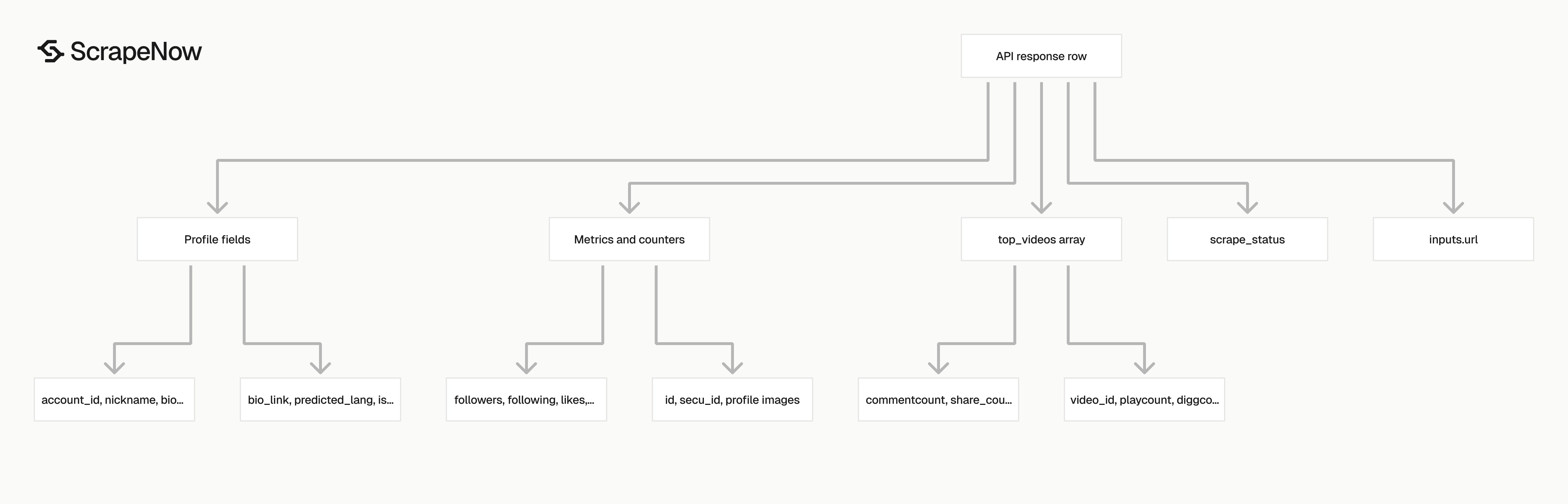 TikTok Profiles Scraper output schema