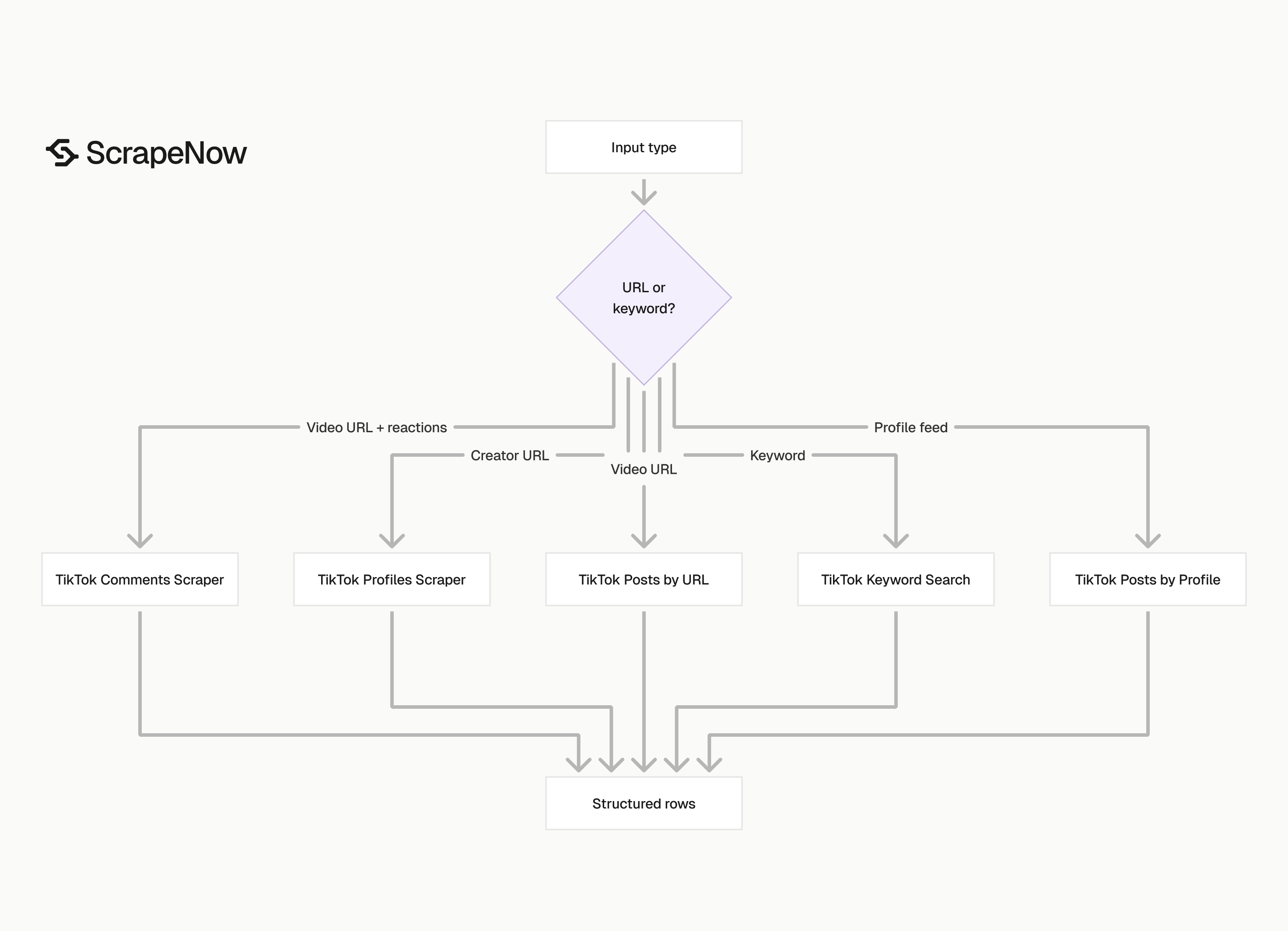 TikTok Scraper input routing