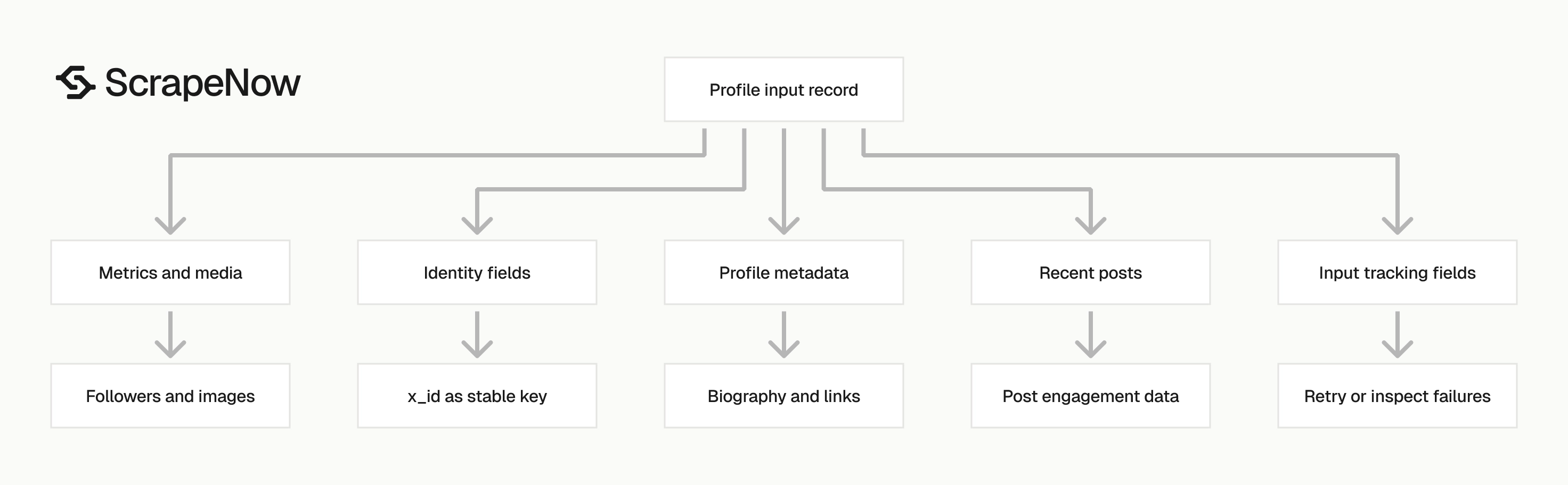 X Profiles Scraper output schema